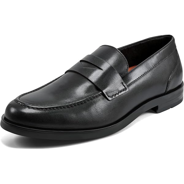 Amazon.com | Vionic Men display picture 1