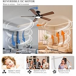 GJeg Ceiling Fans with Lights, 52 Inch Low Profile