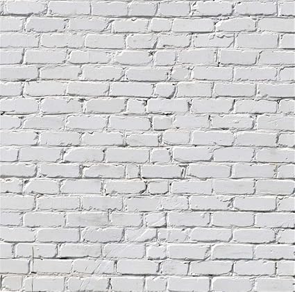 Pared Blanca De Ladrillos Textura Pared Ninos Studio Photography Fondo De Fotografia De Fotos Bebe Recien Nacido Photoshoot Tejido Papel Pintado 5 X 5ft Amazon Es Electronica