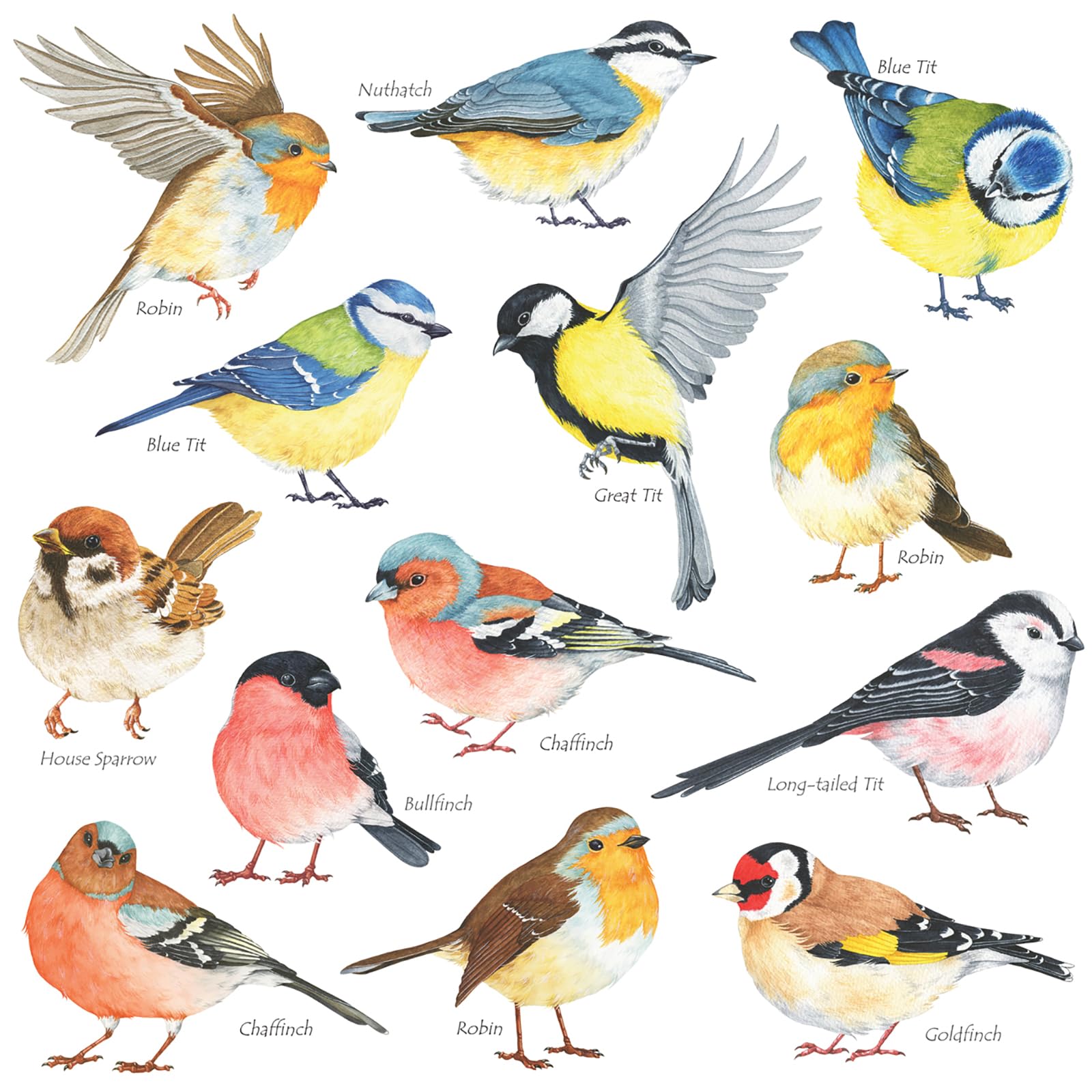DECOWALL DS2-8038 Little Birds Wall Art Stickers Colourful Flying British Birds Wall Decals Removable Garden Decorations Poster Bedroom Kitchen Living Room (Small)