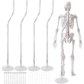 Briwooody 4 Sets White Large Halloween Skeleton Stand, Halloween | 16 Straps 20 Ground Stakes, Vintage Haunted Skeleton Support Display Stand Base, Halloween Skeleton Spooky Decor Accessories