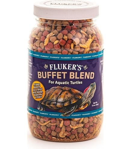 Fluker's Buffet Blend Box Turtle Diet, Insects, Veggies and Fruit with Fortified Pellets, 6.5 oz : Pet Supplies