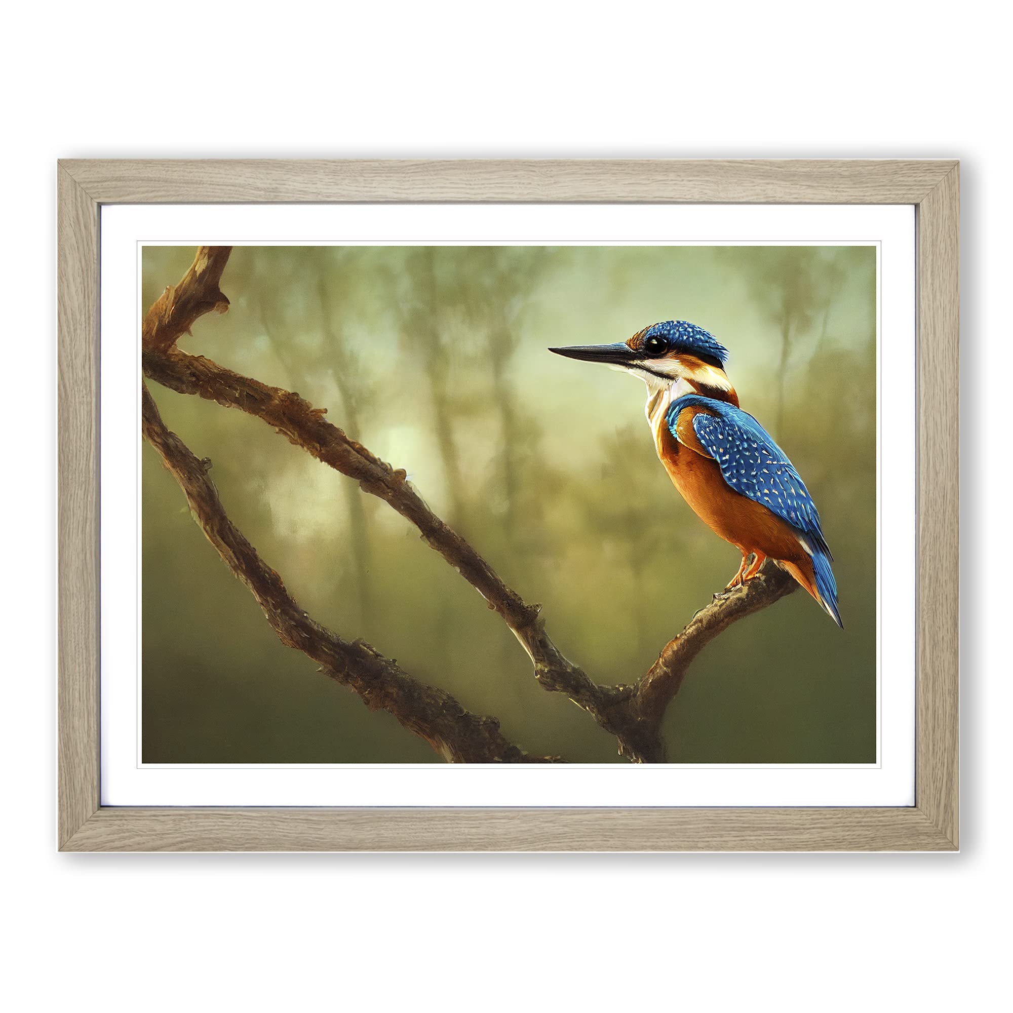 Enlightened Kingfisher Bird Framed Print | A4 Oak Framed Wall Art | Ready to Hang | Modern Nature Picture | Living Room Bedroom Lounge Office