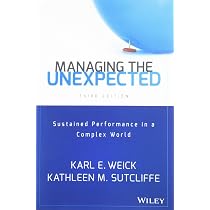Sensemaking in Organizations: 3 | Amazon.com.br