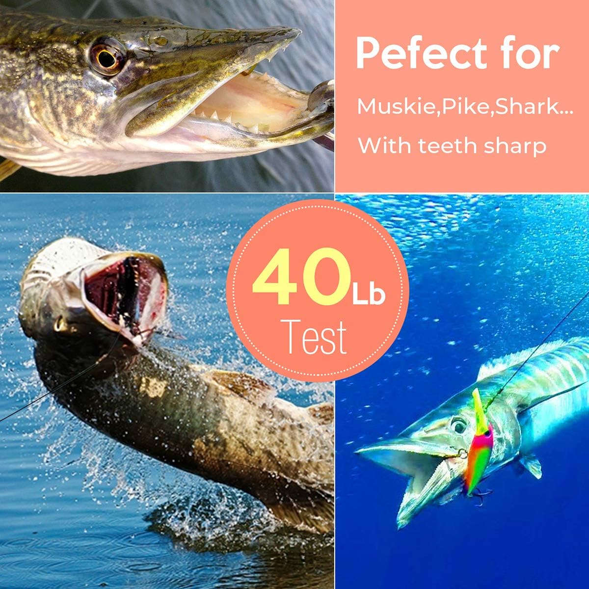 Scotank 60pcs Black Fishing Leaders Tooth Proof Stainless Steel Wire Tackle kit with Swivels Snap Connect Lures Bait Rig or Hooks 12 inch 9 inch 7 inch (Test 40 lb) : Sports & Outdoors