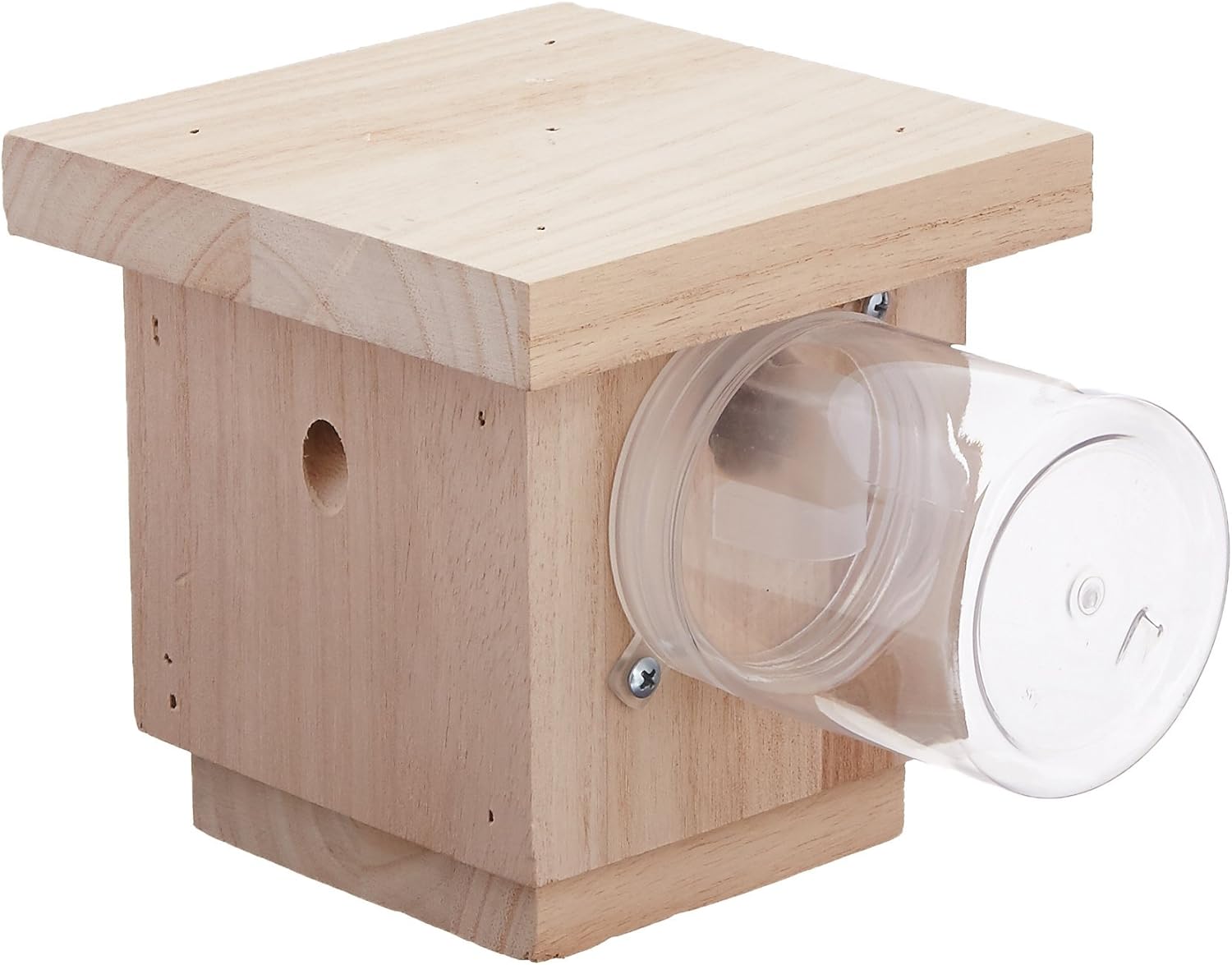 Hanging Carpenter Bee Trap Amazon.ca Patio, Lawn & Garden