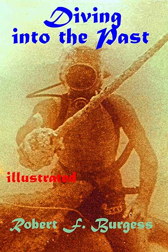 Download DIVING INTO THE PAST (English Edition) PDF