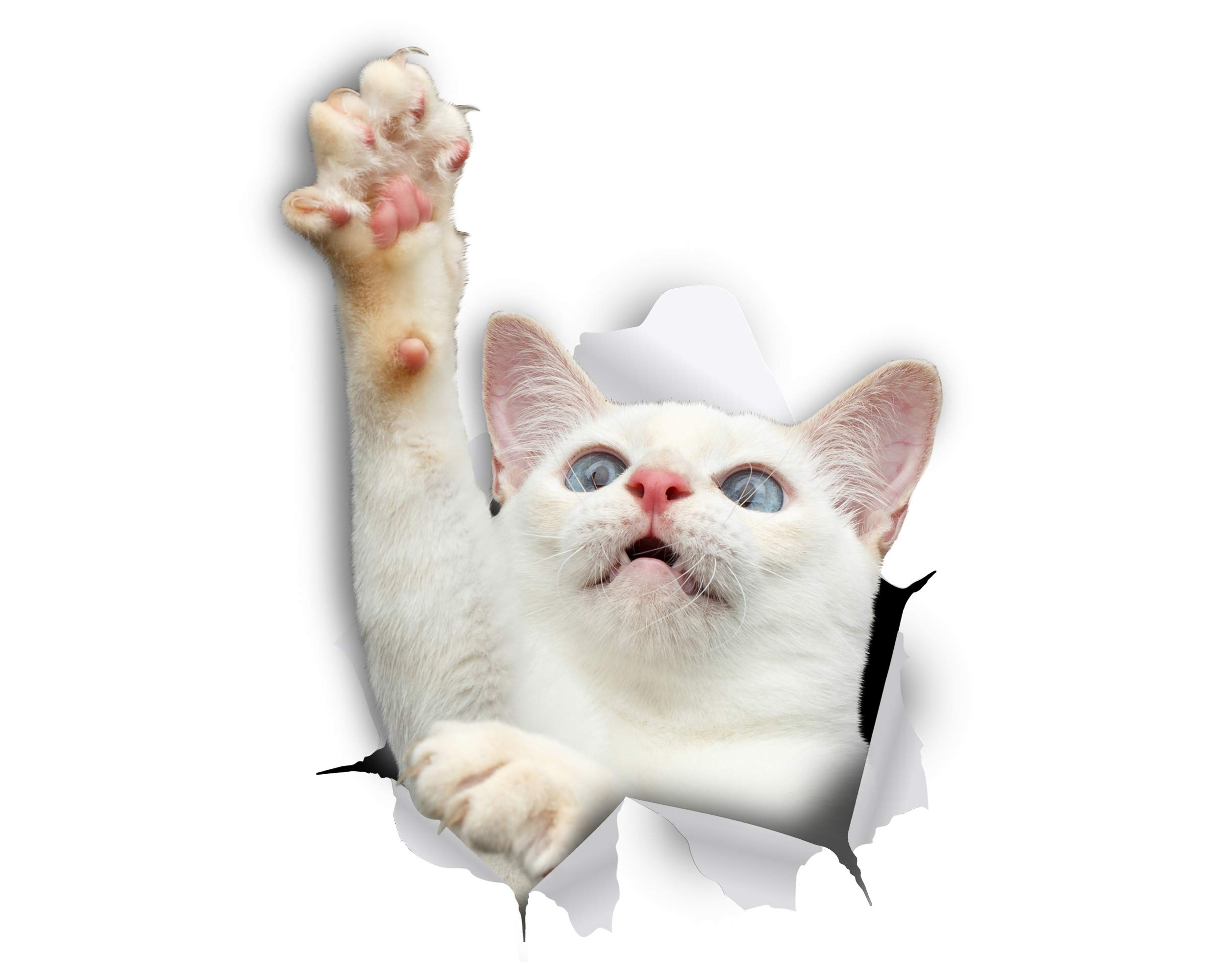 Winston & Bear 3D Cat Stickers - 2 Pack - White Reaching Cat Decals for Wall, Stickers for Bedroom - Fridge - Toilet - Room - Retail Packaged