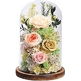lovenfold Flowers for Delivery Preserved Flowers Rose in Glass Dome,Champagne Rose Forever Flowers Birthday Gifts for Women Mom Grandma Friend Gifts for Her,Home Decor