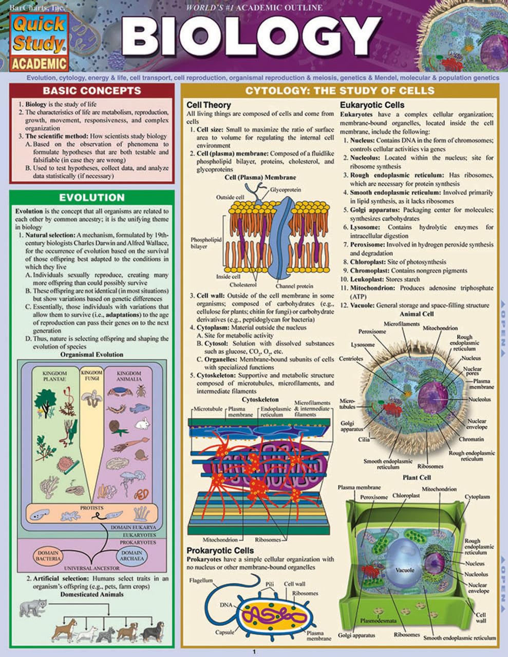 Mua Biology: a QuickStudy Laminated Reference Guide (QuickStudy ...