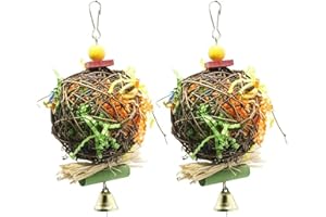 EBaokuup 2 Pack Bird Chewing Toys Foraging Shredder Parrot Cage Shredder Hanging Toy for Cockatiel Conure African Grey Amazon