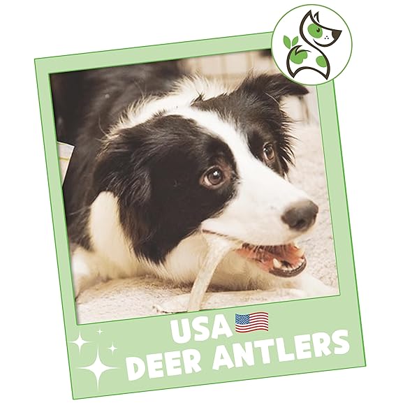 NATURE GNAWS USA DEER ANTLERS FOR DOGS 4-7″ (3 COUNT) – MIX OF SPLIT AND WHOLE PIECES – LONG LASTING FOR SMALL AND MEDIUM BREEDS – NATURAL DOG CHEW BONES