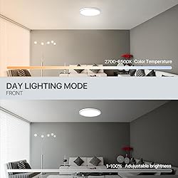 MELEGAN 2Pcs RGB Smart Ceiling Light, Super Slim