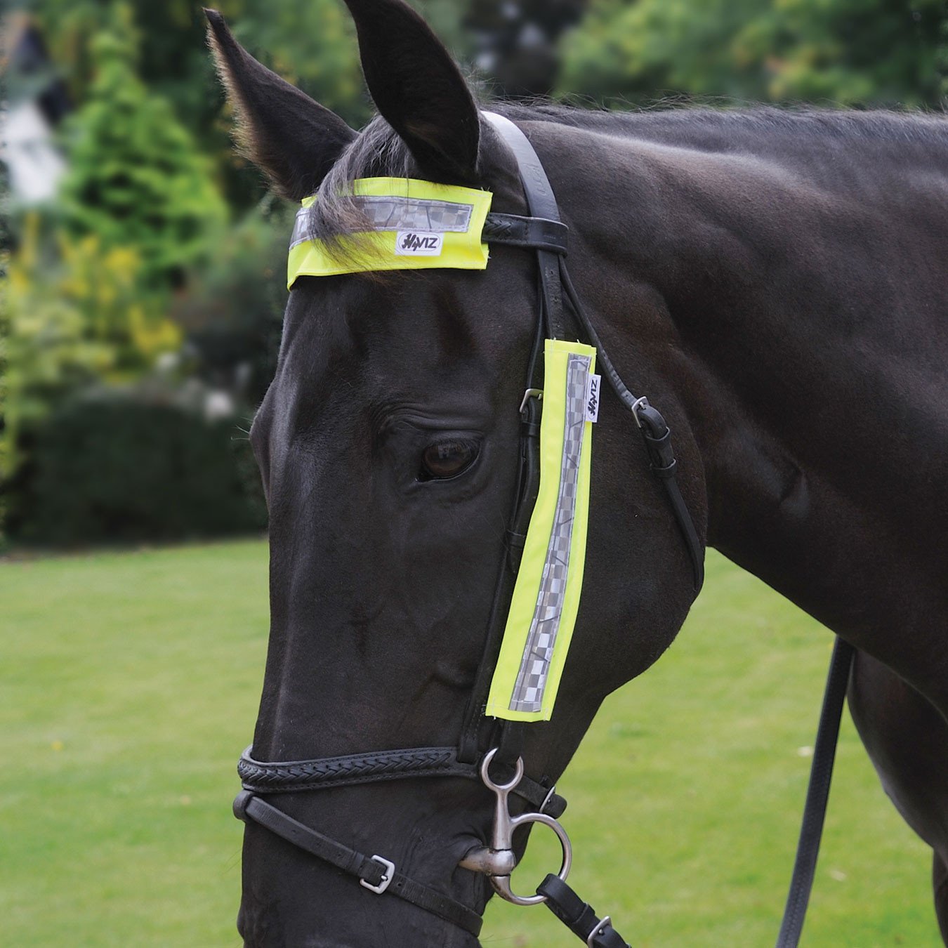 HyVIZ Reflective Bridle Set - Yellow/Navy (3 Pieces)