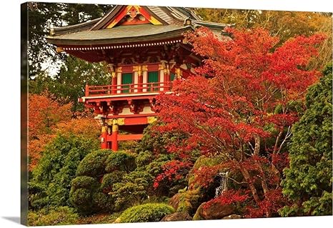 Amazon スチュアート ウェストモーランドギャラリー Japanese Tea Garden Inゴールデンゲートパーク サンフランシスコ カリフォルニア州 Usa 60 X 40 1 60x40 None アートフレーム ポスター オンライン通販