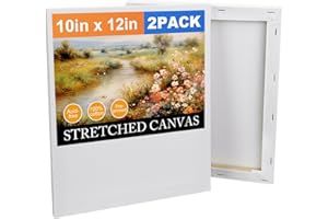 RTUDOPUYT 2 Pack Stretched Canvas Panels for Painting 12x10 Inch, Cotton Blank Canvas, Boards & Panels for Acrylic and Oil Art Supplies for Adults and Teens