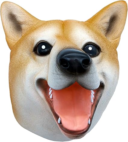 shiba amazon
