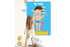 AKAYOK 36 Pcs Body Parts for Kids Felt Board for Toddlers Preschool Learning Toys Interactive Human Body for Kids Human Organ Educational Teaching Storytelling Kit Wall Activity Board for Toddlers