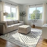 Area Rug 8x10 Rug Machine Washable Non-Slip Low