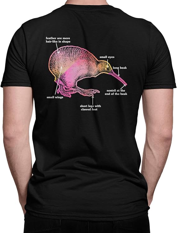 Unique Colorful Kiwi Bird Clothes, Kiwi Bird T Shirt, Kiwi Bird Short