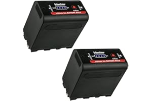 Kastar 2 Pack Battery Replacement for Sony NP-F980 Pro NP-F960 NP-F970 CCD-TR415 CCD-TR416 CCD-TR425 CCD-TR427 CCD-TR500 CCD-TR511 CCD-TR512 CCD-TR515 CCD-TR516 CCD-TR517 CCD-TR555 TR57 CCD-TR67