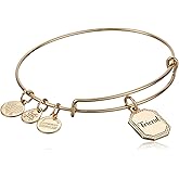 Alex and Ani Because I Love You Friend Expandable Wire Bangle for Women, United by Soul, Let The Good Times Roll Charm