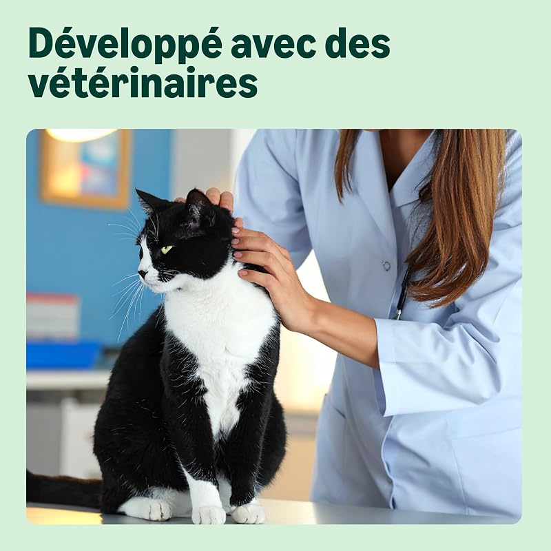 Nourriture complète pour Chat avec Recette sans céréales, Senior, Poulet Frais, 3 kg