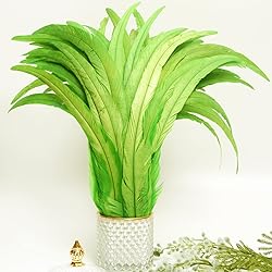 THARAHT 20PCS Rooster Coque Tail Feathers Bulk