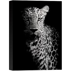 SIGNWIN Canvas Wall Art Headshot of a Spotted...