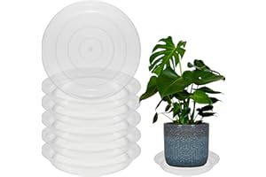 TNTIWQ 6 Pack 10 Inch Round Plant Saucers for Less 8.4 Inch Pot Indoors Outdoors Plant Trays for Pots Planter Saucer Plastic Plant Drip Tray Planter Water Tray for Potted Plants(Clear, 10"(6pcs))