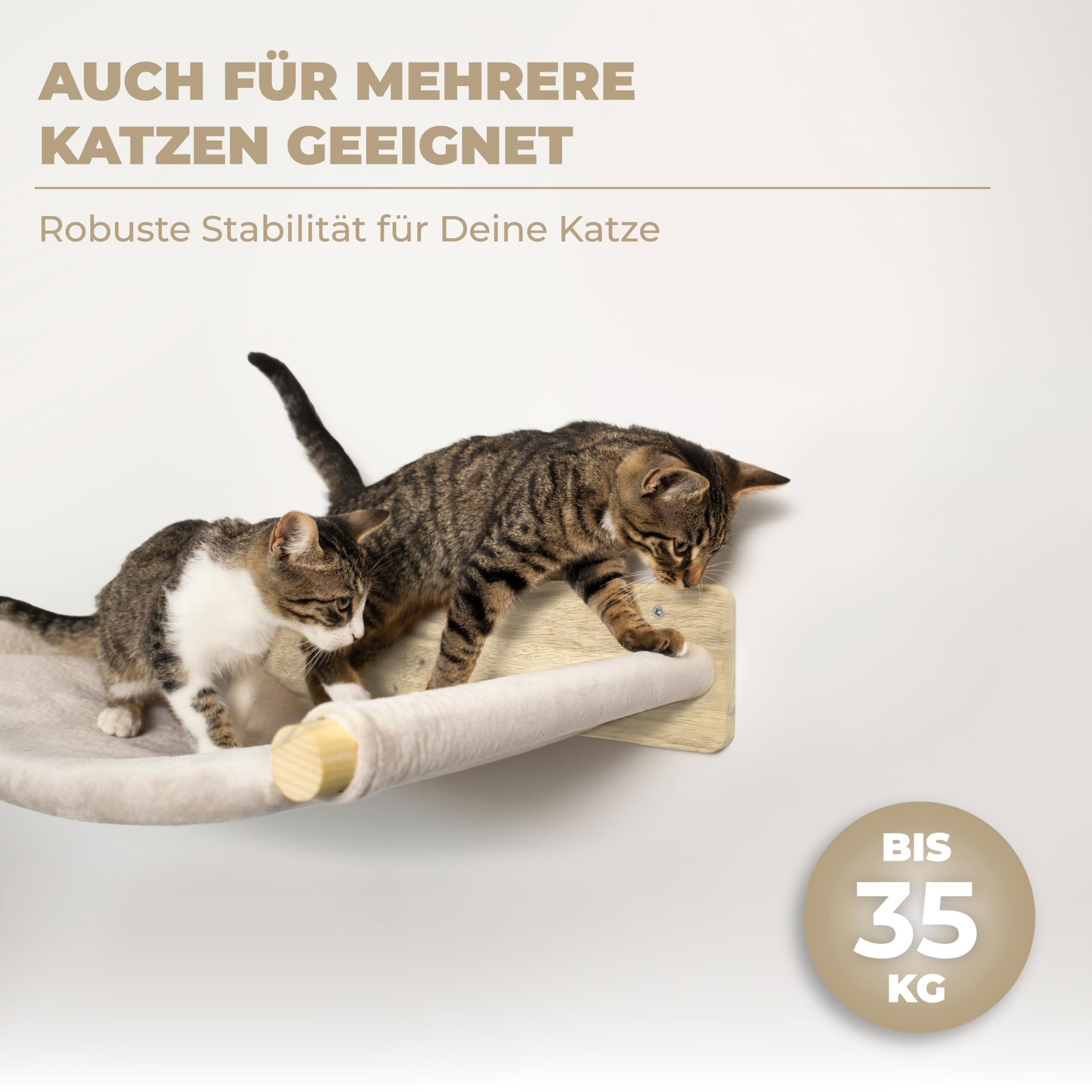 WOOWOOD® Kletterwand Katzen Hängematte inkl. 2X Katzentreppe Wand [Vollholz] - Kratzbaum Wand - Hängematte Katze - Wandkratzbaum - Katzenmöbel - Katzenwand - Katzen Kletterwand Set 3