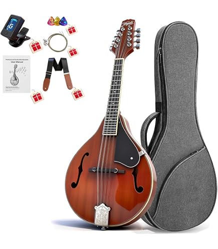Amazon.com: Ibanez M510OVS Acoustic Mandolin in Vintage Sunburst