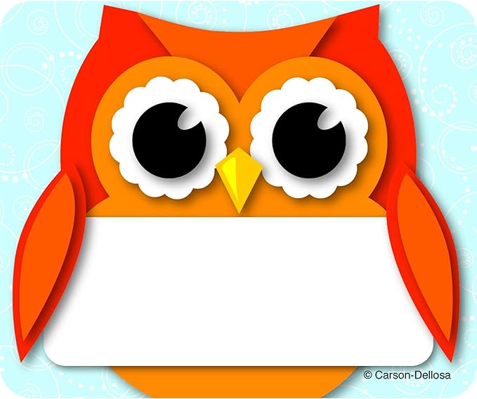 Amazon Com Carson Dellosa Colorful Owl Name s Carson Dellosa Name s Office Products