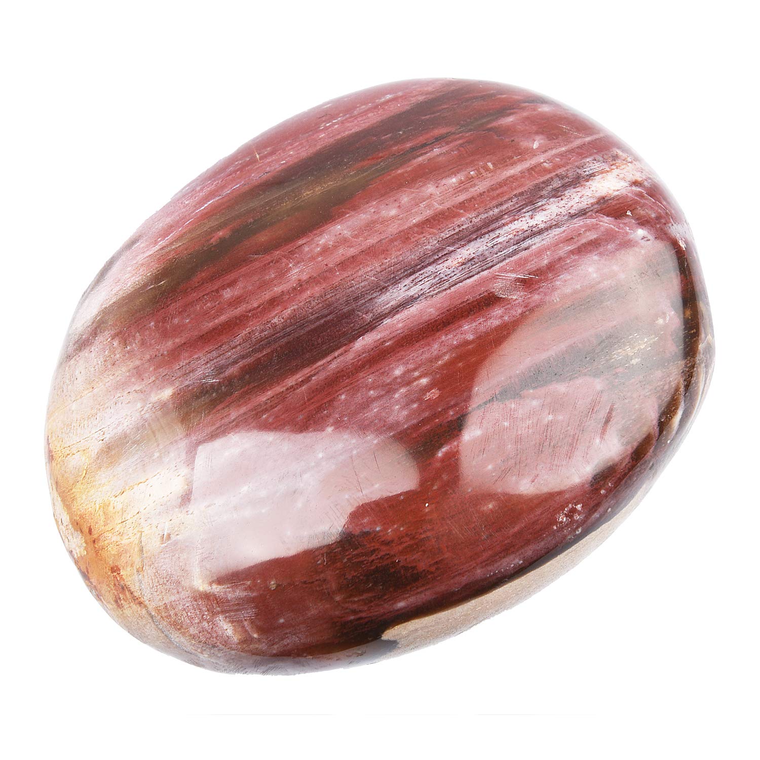 June&Ann Natural Petrified Wood Palm Stones, Healing Gemstone Therapy Worry Crystal Stones for Meditation Chakra Balancing Collection, Irregular Shape