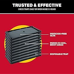 Catchmaster Rat, Snake and Mouse Traps 10Pk, Large