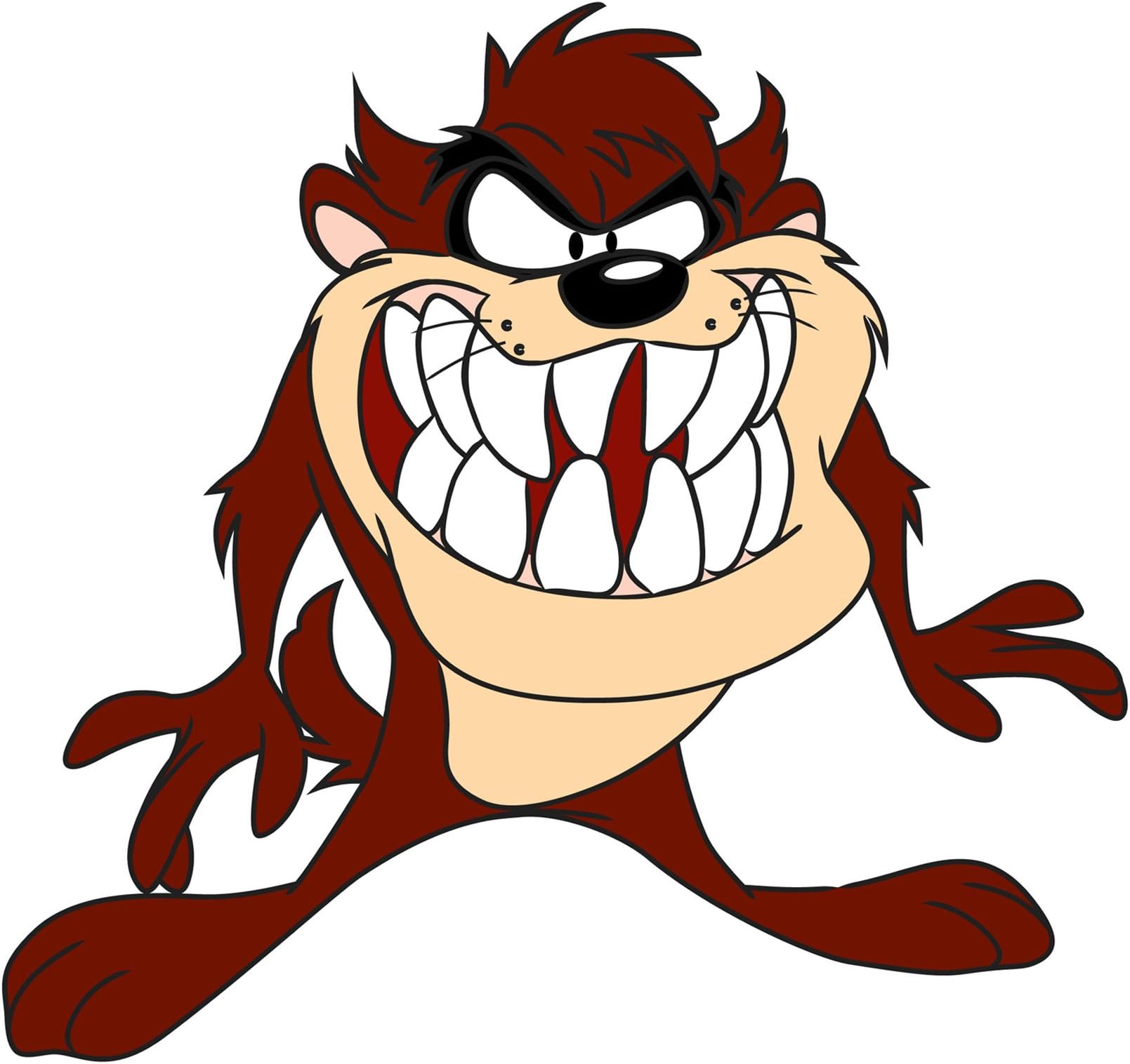 Customise4U Taz Tazmanian Devil Wall Stickers Wall Art Transfers Decals