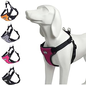 BINGPET No Pull Dog Harness Reflective for Pet Puppy Freedom Walking