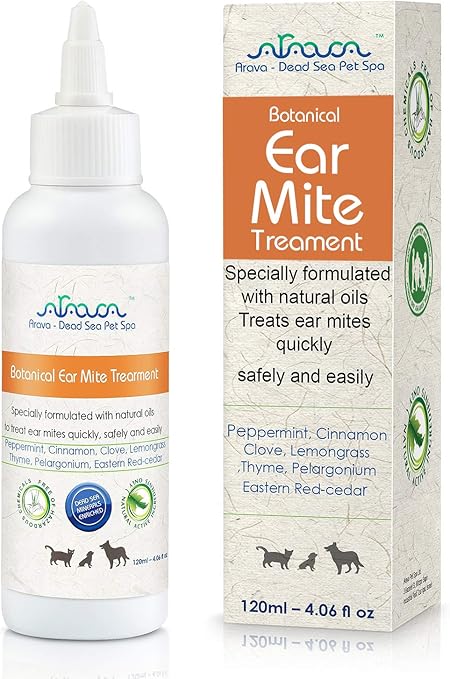 homemade ear mite medicine for dogs