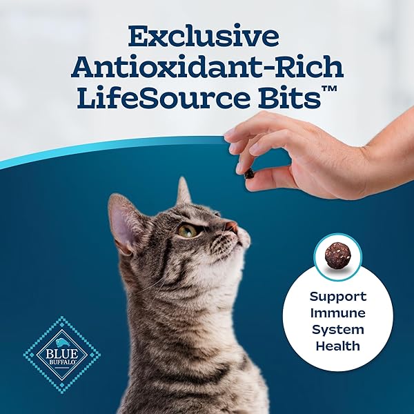 BLUE BUFFALO TASTEFULS NATURAL DRY FOOD FOR ADULT CATS, SENSITIVE STOMACH, CHICKEN & BROWN RICE RECIPE, 3-LB. BAG
