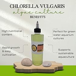 SCOTTY'S BUGS Algae Culture Chlorella