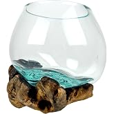 Decorative Vase, 5 Inch Melted Glass on Gamal Root Wood | Clear Bowl Shaped Over Organic Base, Each Piece Varies, For Succulents, Air Plants, Terrariums