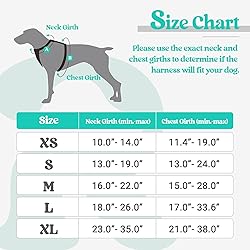 rabbitgoo Dog Harness, No-Pull Pet Harness with 2