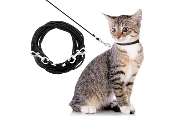 long cat lead