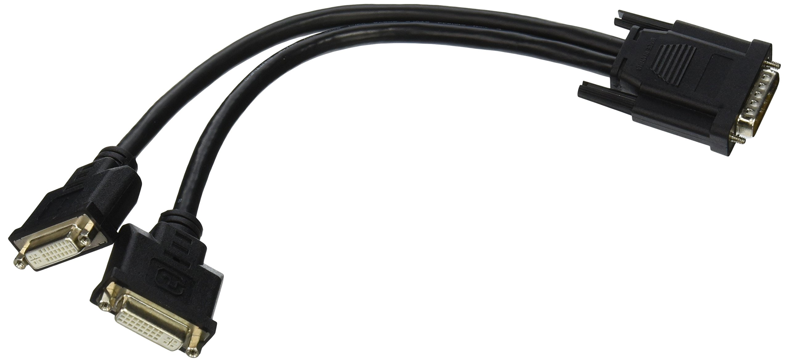 Tripp Lite DMS-59 to Dual DVI Splitter Y Cable (M to 2x DVI-I F), 0.31 m (P576-001)