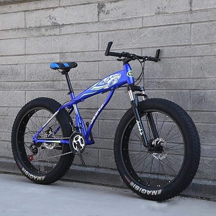 bike with big back wheel