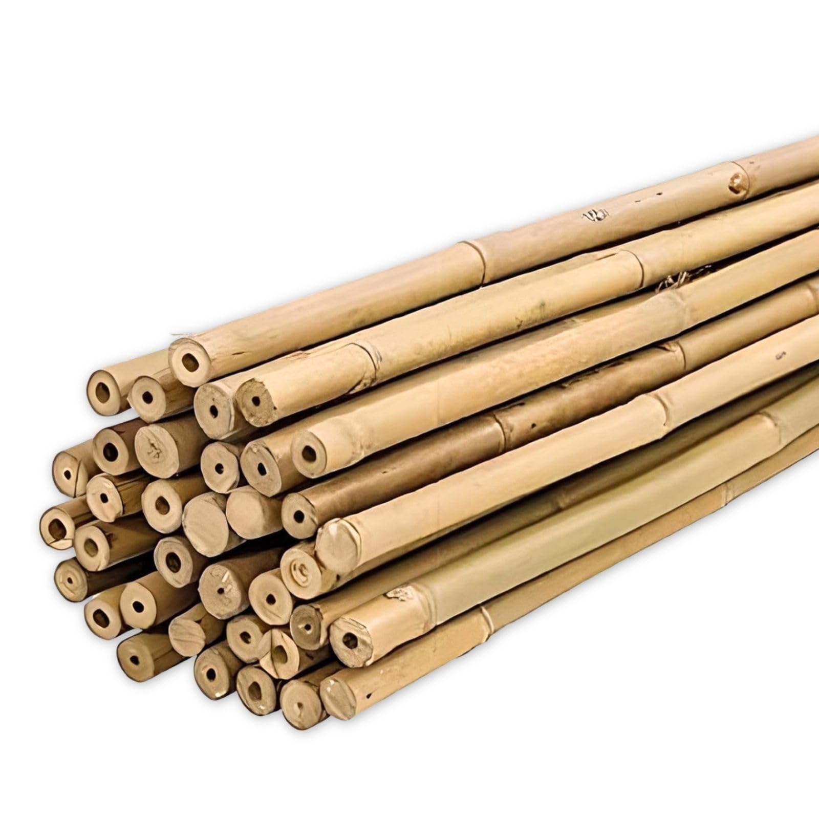 PLANTAWA Bamboo Stakes 60 cm Pack of 25 Diameter 6-8 mm Stakes for Tomato, Vegetable and Tree Plants Plant Stakes in Various Sizes Durable Bamboo Canes