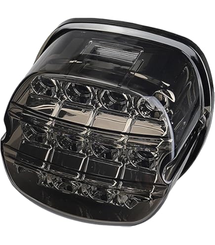 Amazon.com: MZS Motorcycle Tail Light, LED Turn Signal