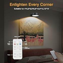 LED Picture Light Wireless Battery Operated Poster