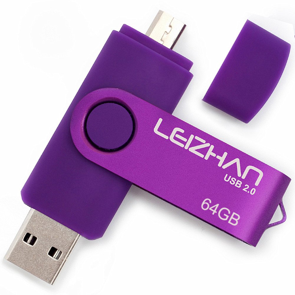 leizhan 64GB USB Memory Stick OTG(On the Go) Dual Port(USB 2.0 & Micro) USB Pendrive Flash Drive For Android Smart Phone Tablet PC Purple