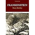 Frankenstein (Case Studies in Contemporary Criticism)